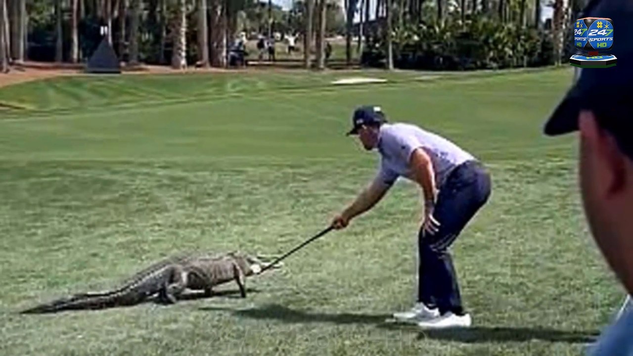 Billy Horschel dubbed ‘gator whisperer’ after bravely herding alligator off golf course as Paige Spiranac hails ‘legend’