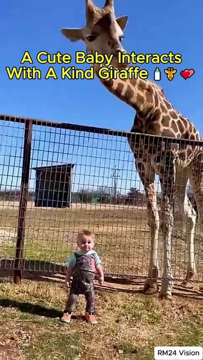 🍼🦒 "Cutest Friendship Ever! Baby Meets a Kind Giraffe" 😂💕 #cutebaby #shorts   #shortvideo   #shorts