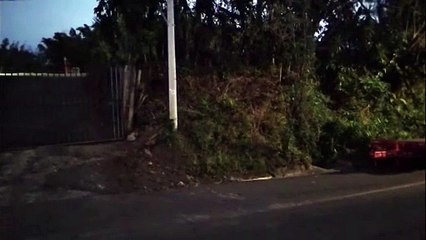 ext-Hombre asegura vivir atormentado por un gallo de canta todas las noches-270225