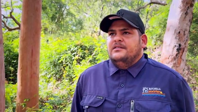 Rangers investigate growing population of feral cats on K’gari