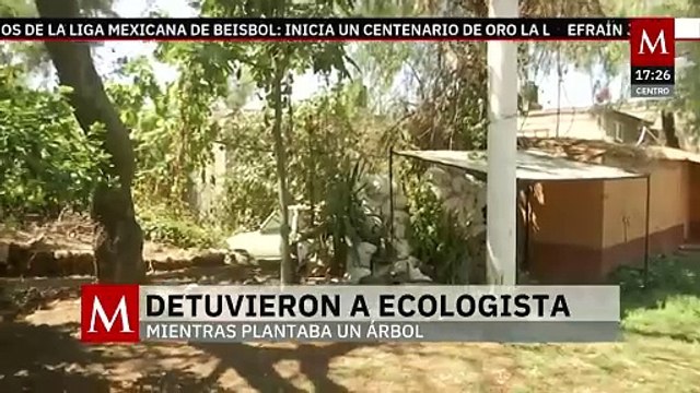 Hombre detenido en Benito Juárez fue por romper banqueta, no por plantar árbol, aclara alcaldía