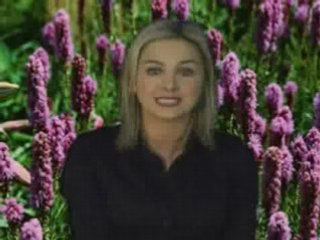 Russell Grant Video Horoscope Libra 03.05.2008