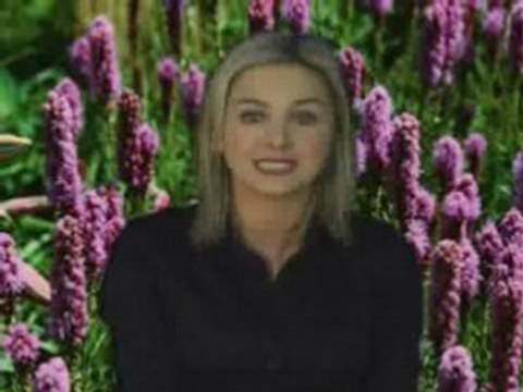 Russell Grant Video Horoscope Libra 03.05.2008