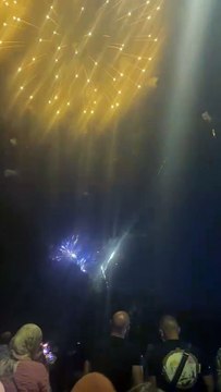 Le Feu d’artifice du 14 juillet Grenoble Parc Jean-Verlhac Villeneuve #france #grenoble #show (47)