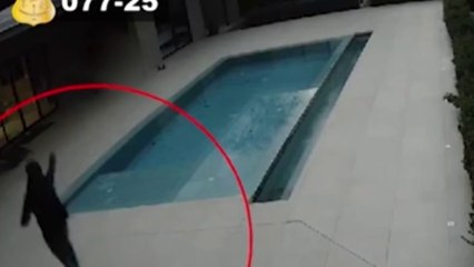 tn7-Sospechan de “gato casero” en millonario robo y asesinato de francés en Guanacaste-270225