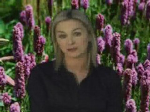 Russell Grant Video Horoscope Scorpio 03.05.2008