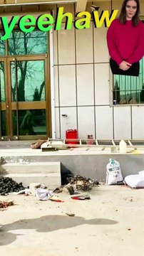 😝😲 हंगामे पर हंगामा... #funny #comedy #shorts #funnyshort #comedyshorts funny video comedy videos shorts funny shorts viral shorts funny comedy videos