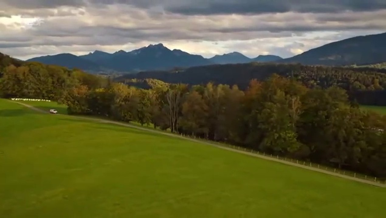 Frühling -53- Babyalarm