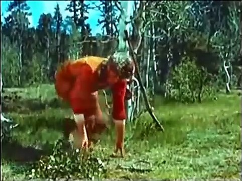 Daniel Boone - Amarga Missão