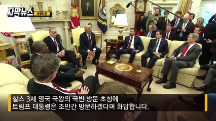 [자막뉴스] 유럽 설득에도 분위기 '싸늘'...젤렌스키 만남 전 말 바꾼 트럼프 / YTN
