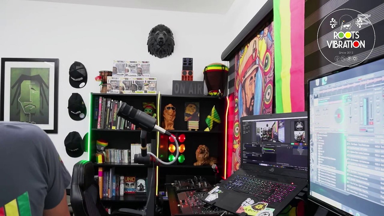 Programa 02.25 Roots Vibration Parte 2