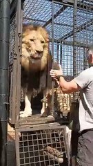 Wild & Tame: Amazing Pets & Animals