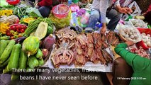 Old Market - Amazing vegetables & meats, Siem Reap - Cambodia Holidays
