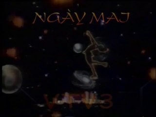 Mẫu GTCT VTV3 31/3 - 31/12/1998