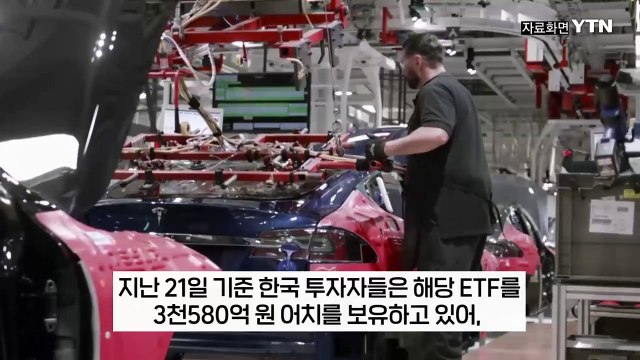 테슬라 주가 하락에 덩달아 80% 급락... 애가 타는 한국인들 [지금이뉴스] / YTN