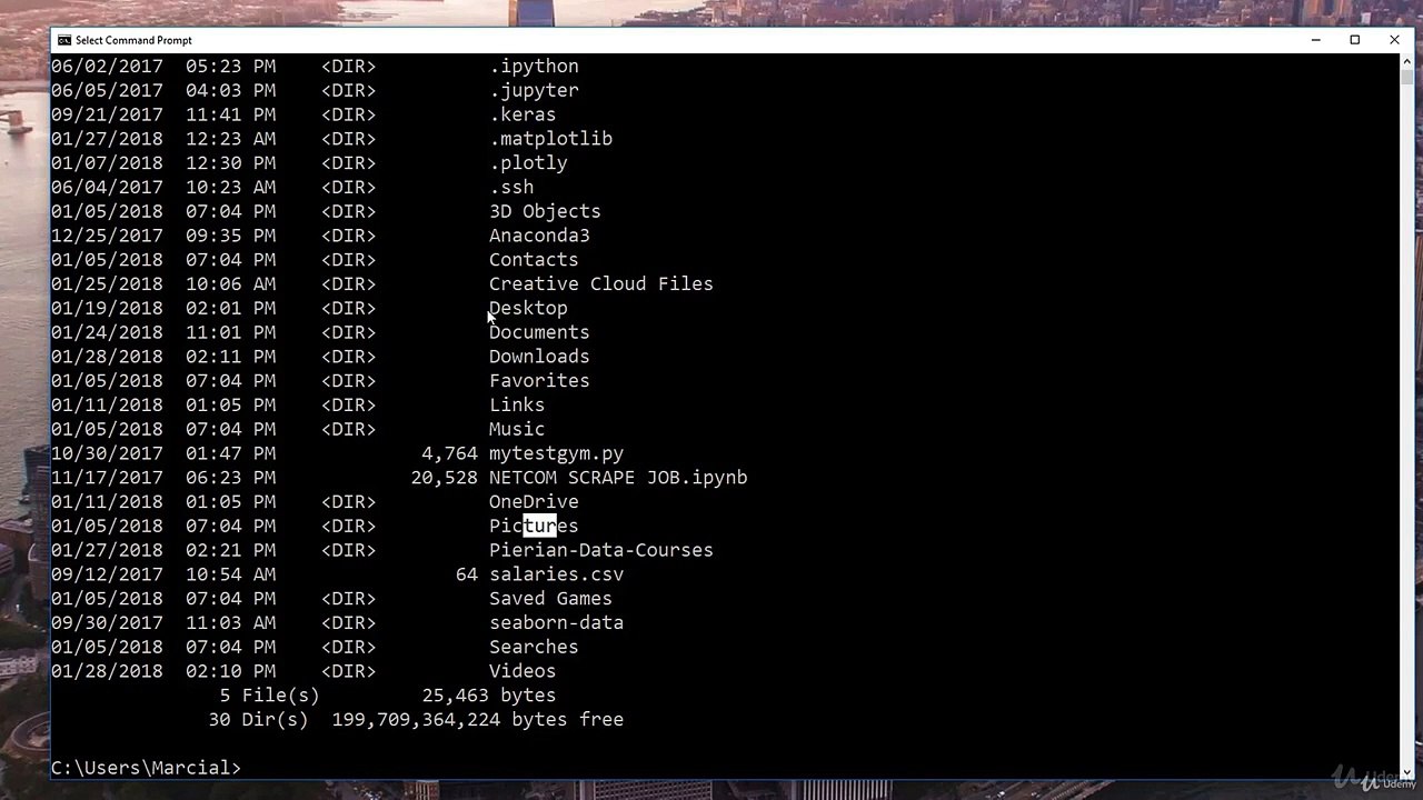 1. Command Line Basics