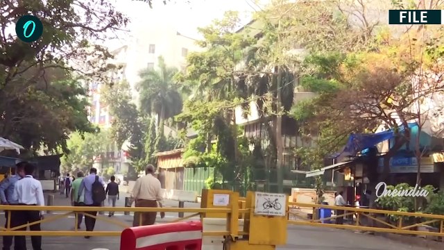 Stock Market Updates: शेयर बाजार ने तोड़ा 28 साल क रिकॉर्ड, Donald Trump वजह तो नहीं? | Share Market