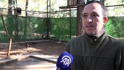 Habur Gümrük Kapısı'nda ele geçirilen 2 maymun yavrusu korumaya alındı