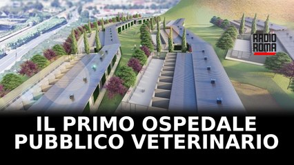 Il primo ospedale veterinario pubblico sarà costruito al canile della Muratella