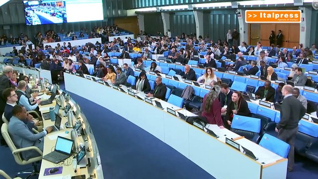 A Roma la Cop16 per fermare il declino della biodiversità