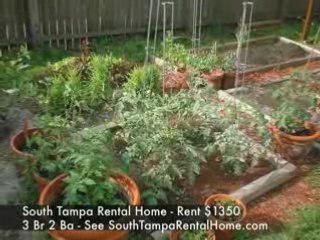 South Tampa Rental Home