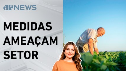 Governo mira o agro: mais impostos e restrições à vista; Kellen Severo analisa