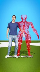 How long are you blood vessels