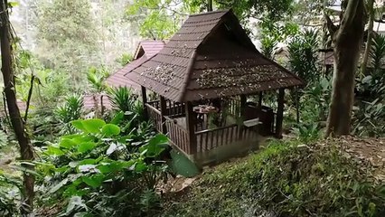 High-speed gun fight💥Armed gangsters hold the island hostage,but SWAT strikes fast to crush them all