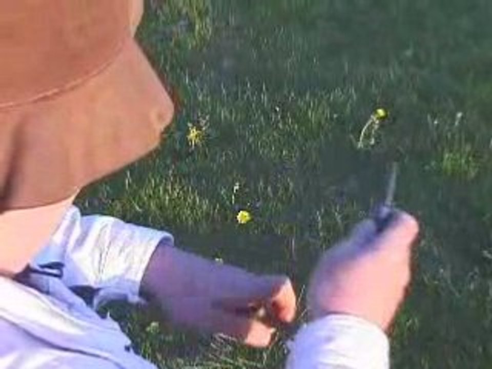 Slip Bark Whistle