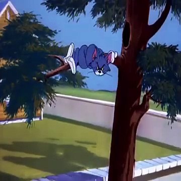 Tom & Jerry Funniest Clips | Subscribe for Daily Laughter! #TomandJerry #FunnyVideos #BestCartoonVideos #KidsCartoonVideos #AnimationVideos