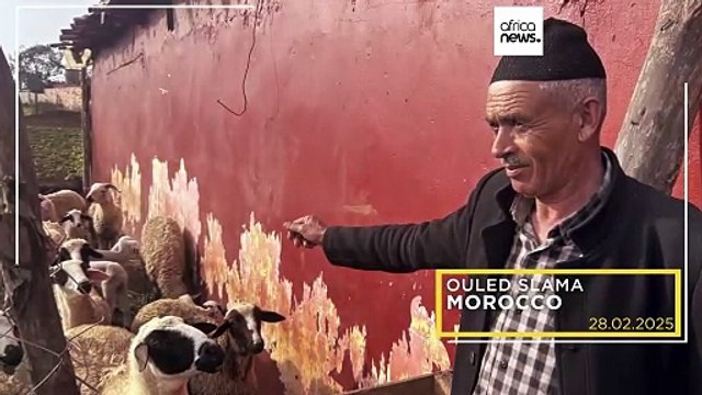 Arrêt sur images du 28 février 2025