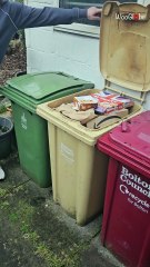 'Kung Fu' squirrel's well-timed bin escape gives man a hilarious jump scare