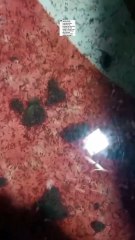 Kalau seperti ini kejadiannya bukan salah teknis tapi kurang tepat waktunya