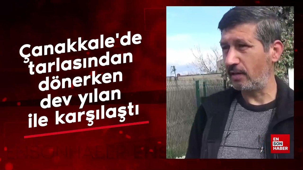 Çanakkale'de tarlasından dönerken dev yılan ile karşılaştı