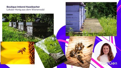 Haselbacher Honig. Dein Honig aus dem Wienerwald