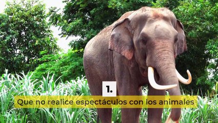 Santuarios animales