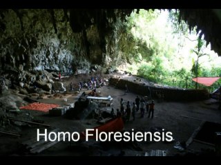 Discover the Hidden World of Homo Floresiensis 🏞️