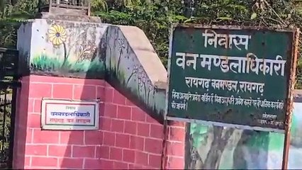 जंगली सूअर पहुंच गया DFO बंगला के गेट पर