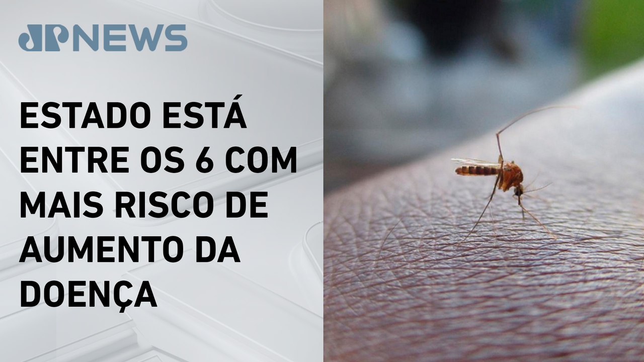 Rio de Janeiro registra aumento de casos de dengue