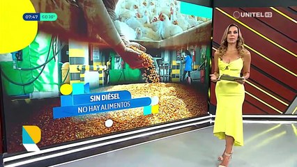 Ganaderos deben recurrir al mercado negro para comprar diésel y exigen soluciones al Gobierno