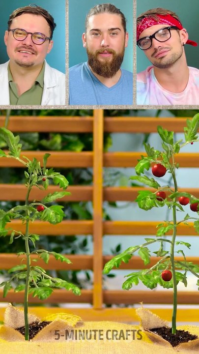 Can These Gardening Hacks Save Your Plants? 🌱 The Dudes REACT!