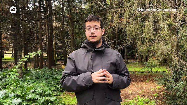 Até terça prevê-se chuva, vento, neve e trovoada em Portugal: eis as zonas mais afetadas este Carnaval