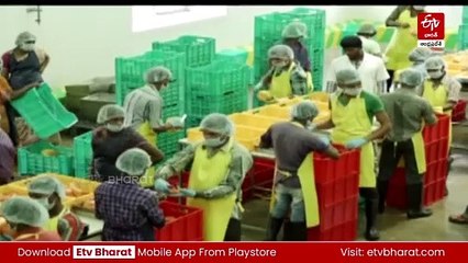 వైఎస్సార్సీపీ హయాంలో పరిశ్రమలు డ్రాపౌట్‌