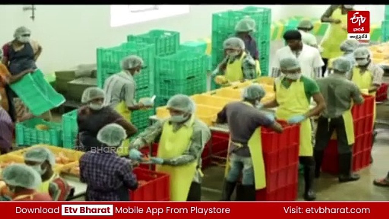 వైఎస్సార్సీపీ హయాంలో పరిశ్రమలు డ్రాపౌట్‌