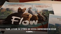 ‘Flow’, o filme da Letônia que deseja surpreender no Oscar