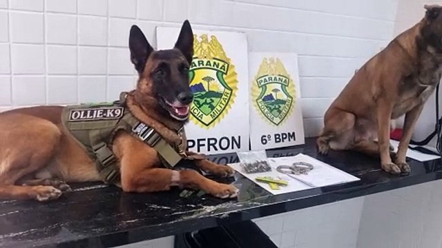 Colisão entre carro e moto deixa jovem ferido no Cascavel Velho