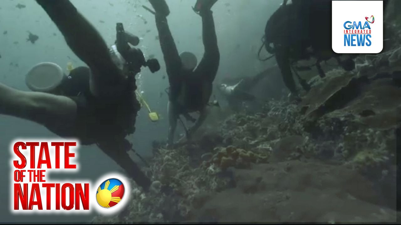 2 Russian diver, patay nang mag-scuba diving sa Verde Island; 1 sa mga biktima, putol ang mga braso dahil sa hinihinalang shark attack | SONA