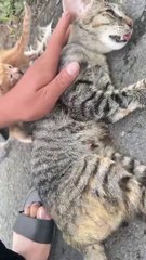 Humanity still alive