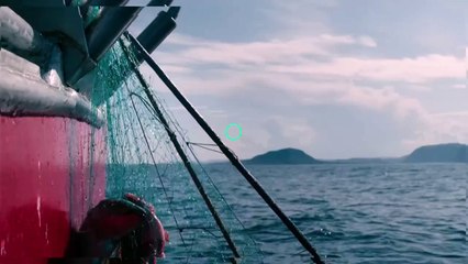 Le mystère du béluga espion