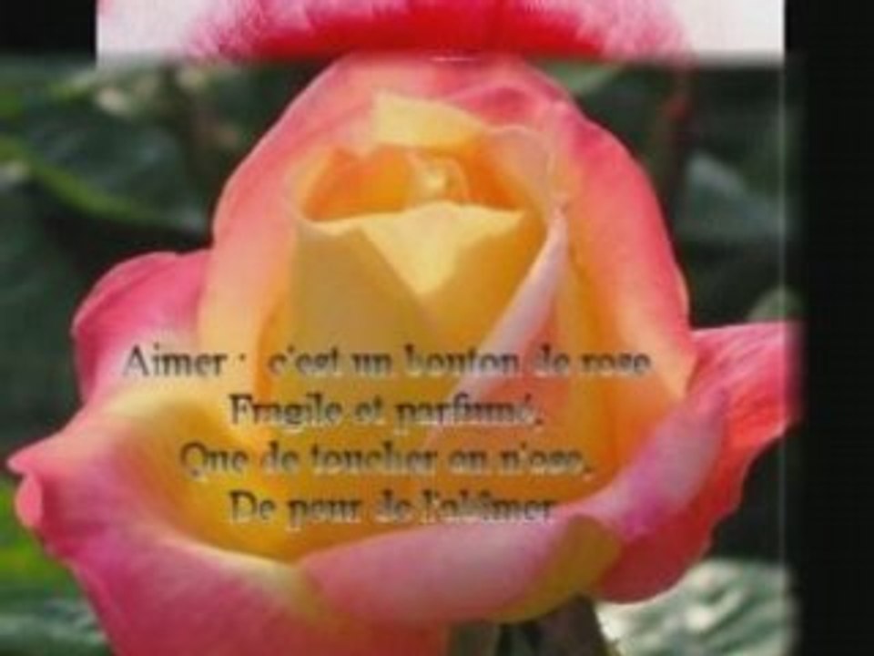 Pour ma soeur